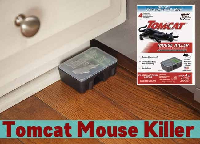 Tomcat Mouse Killer