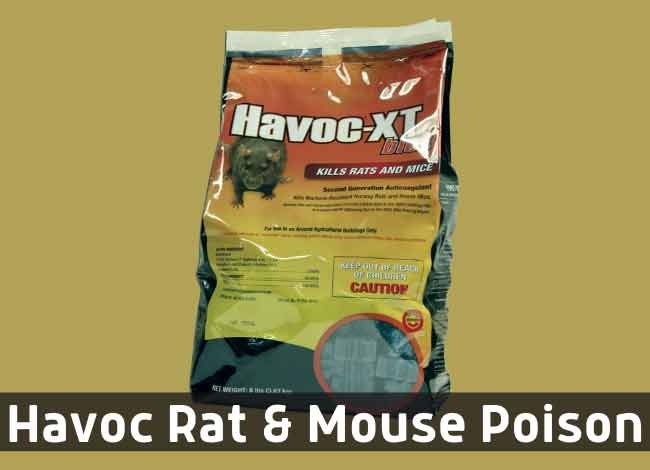 Havoc Rat & Mouse Poison Review 2023