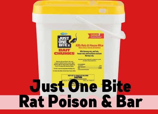 Just One Bite Rat Poison & Bar Reviews 2023