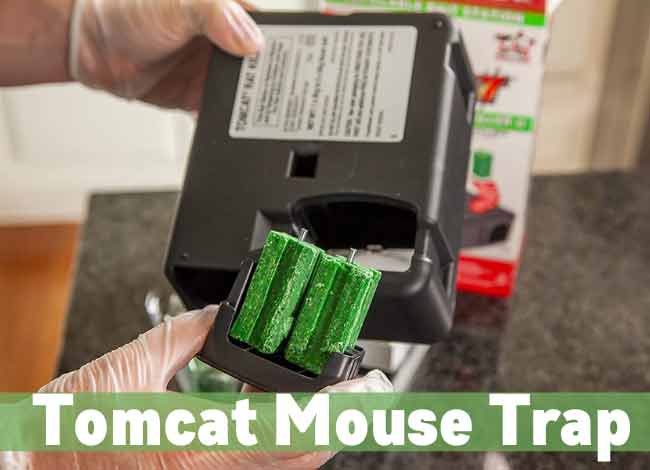 Tomcat Mouse Trap Reviews 2023 [Dog & Child Resistant]